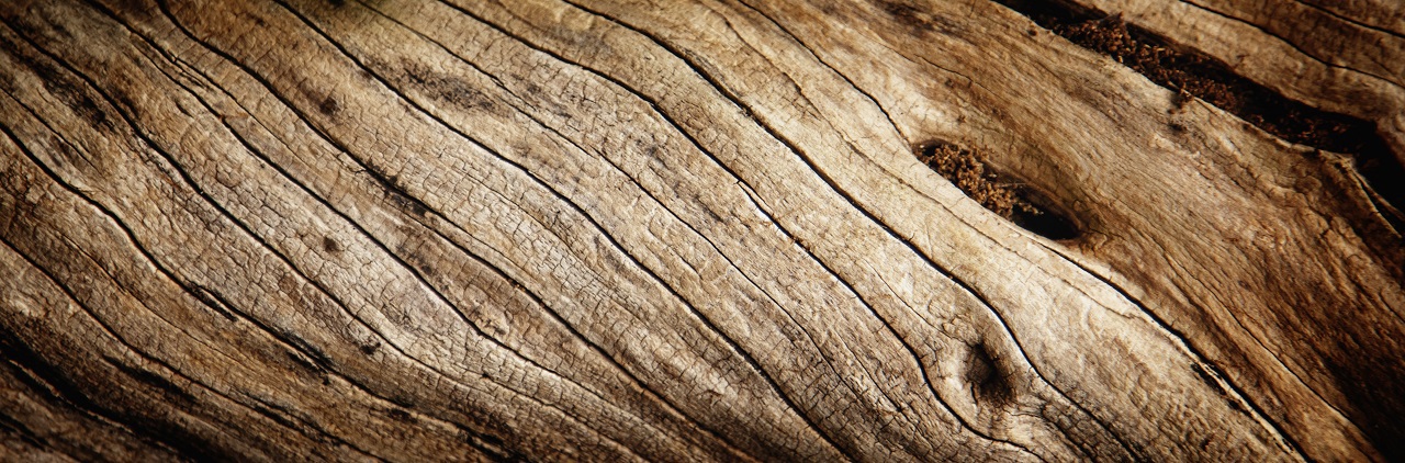 Old rich wood texture background 