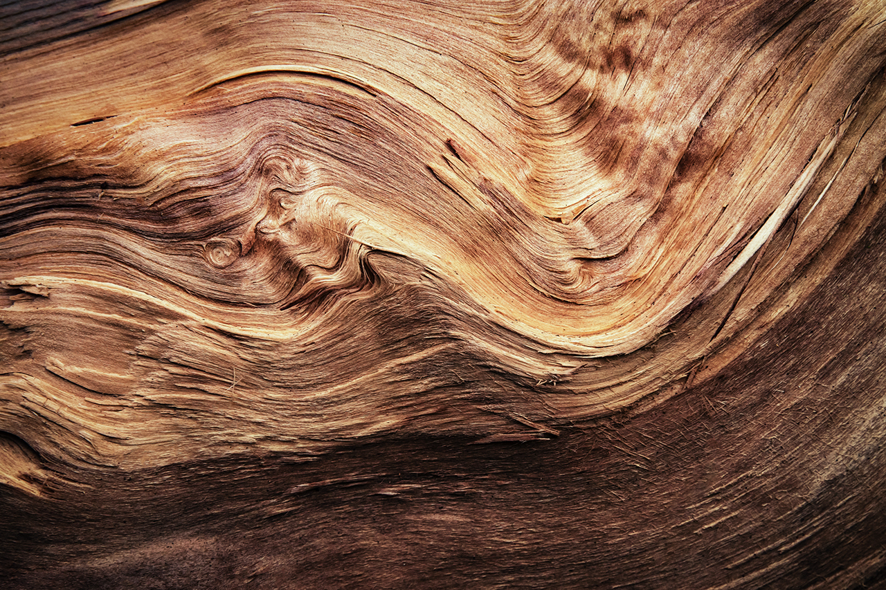 abstract detail of a wavy split wood