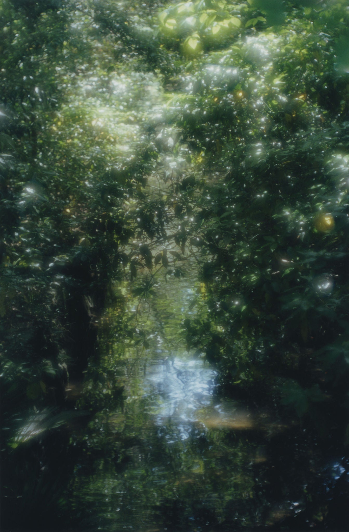 プリピクテ国際写真賞 写真集「Consumption」Prix Pictet 展覧会