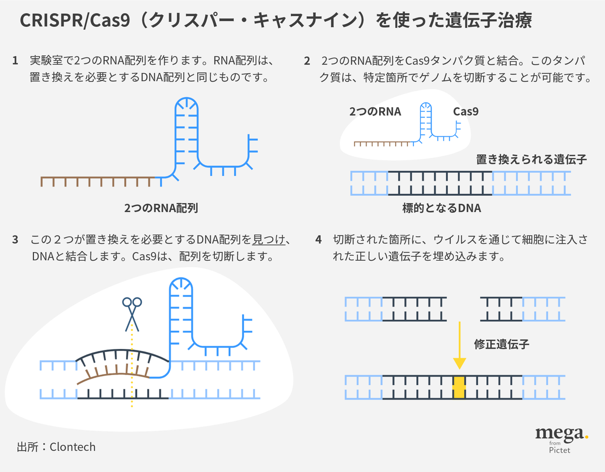 遺伝子治療：自然界のエラーを修正する｜もっと知りたいメガトレンド