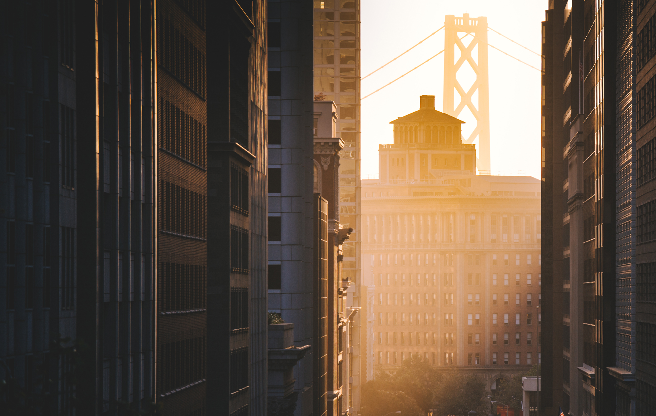 Downtown San Francisco with famous California Street illuminated in first golden morning light at sunrise in summer, San Francisco, California, USA