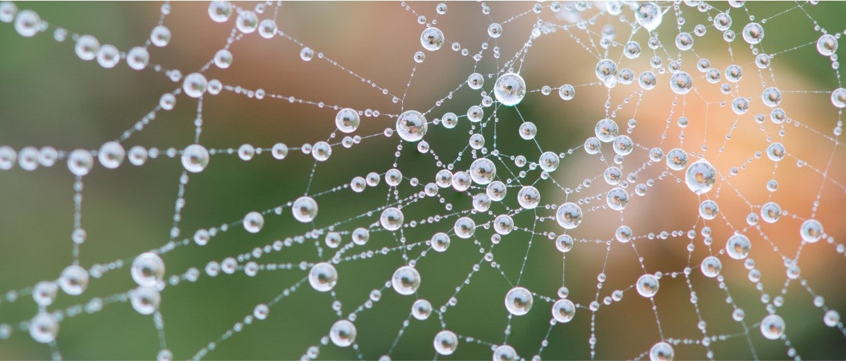 Synthetic-biology-route-to-more-sustainable-materials-img01.jpg