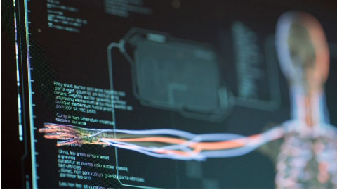 脳内物質のシステム神経生理学 精神精気のニューロサイエンス 脳内物質のシステム神経生理学―精神精気のニューロサイエンス