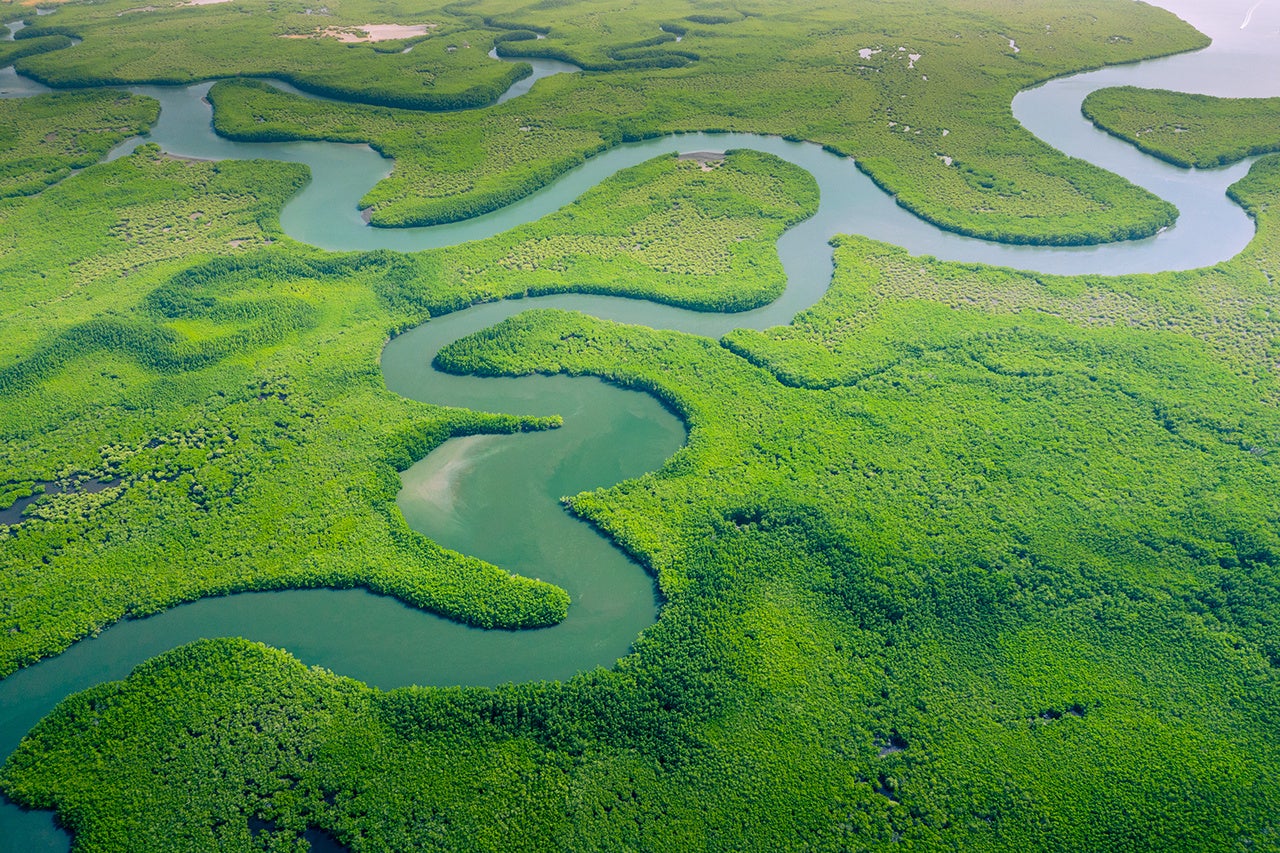 Aerial view of Amazon rainforest in Brazil, South America. Green forest. Bird's-eye view. 