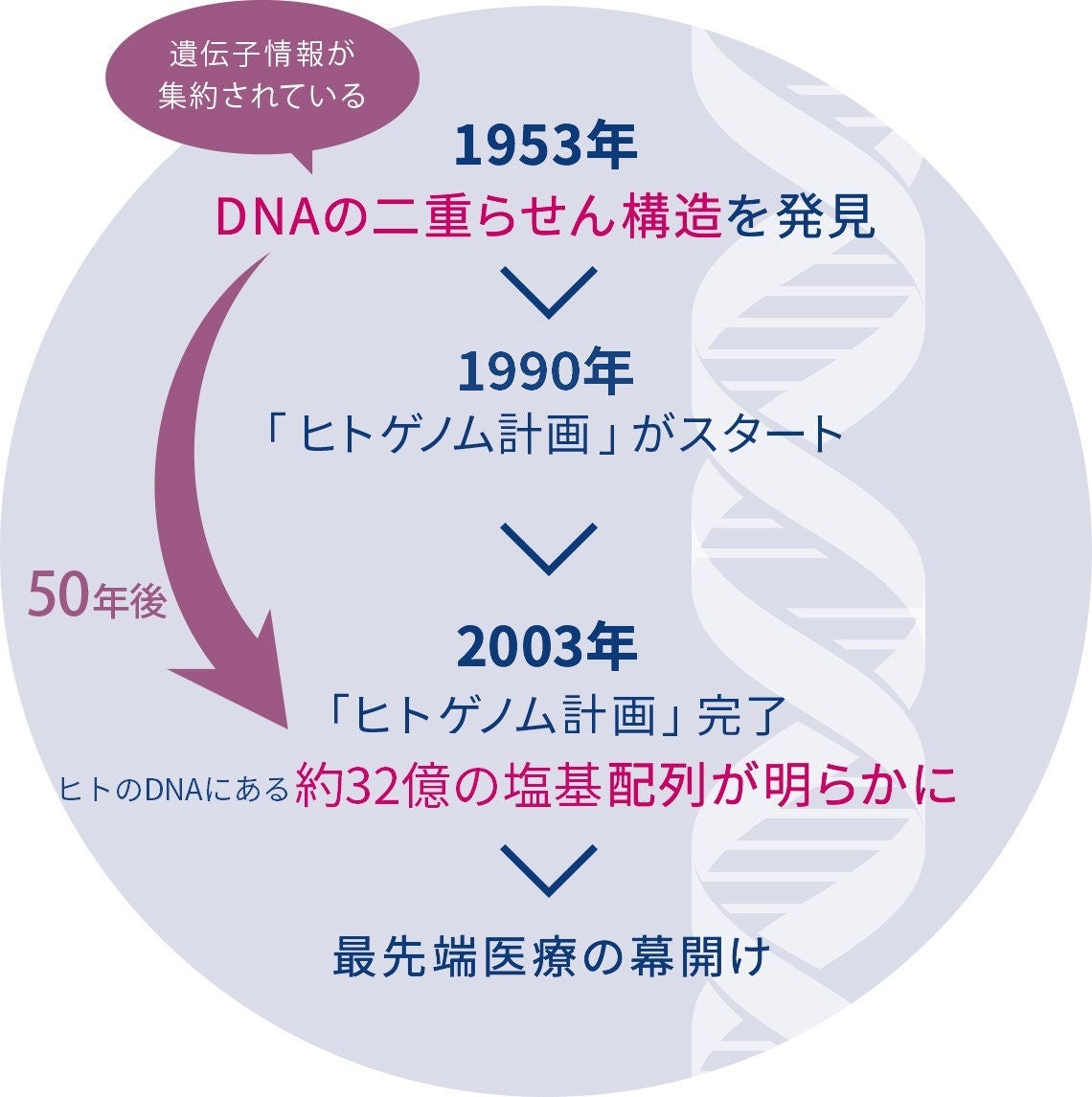 医療・合理性・経験 バイロン・グッドの医療人類学講義 医療・合理性・経験 :バイロン・グッドの医療人類学講義