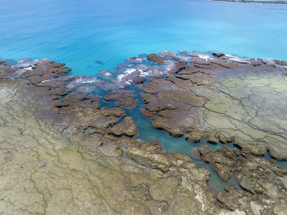 ESG格付け（評価）の徹底分析