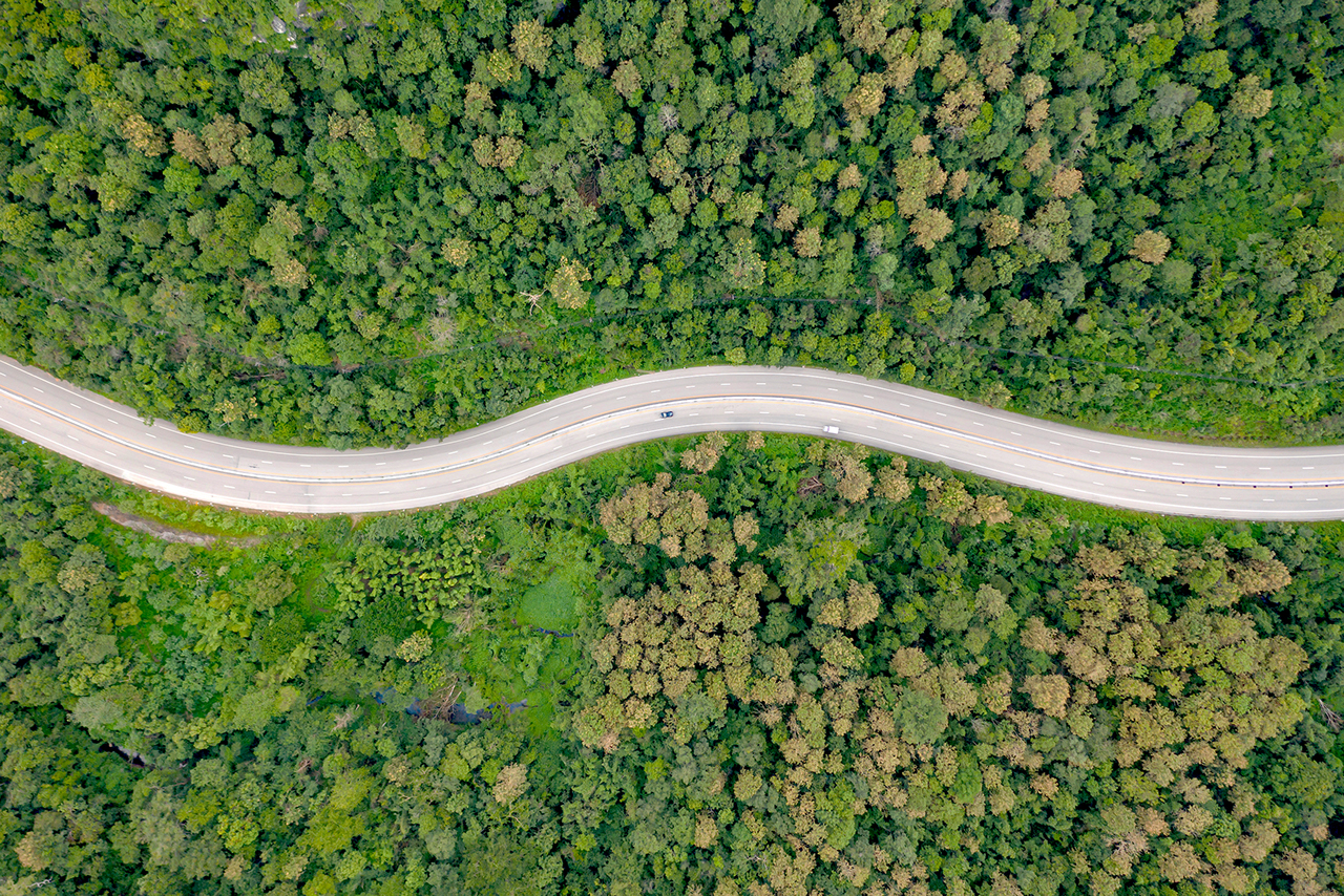 Aerial top view of pathway road in forest, view from drone