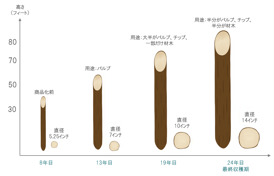 windenergy