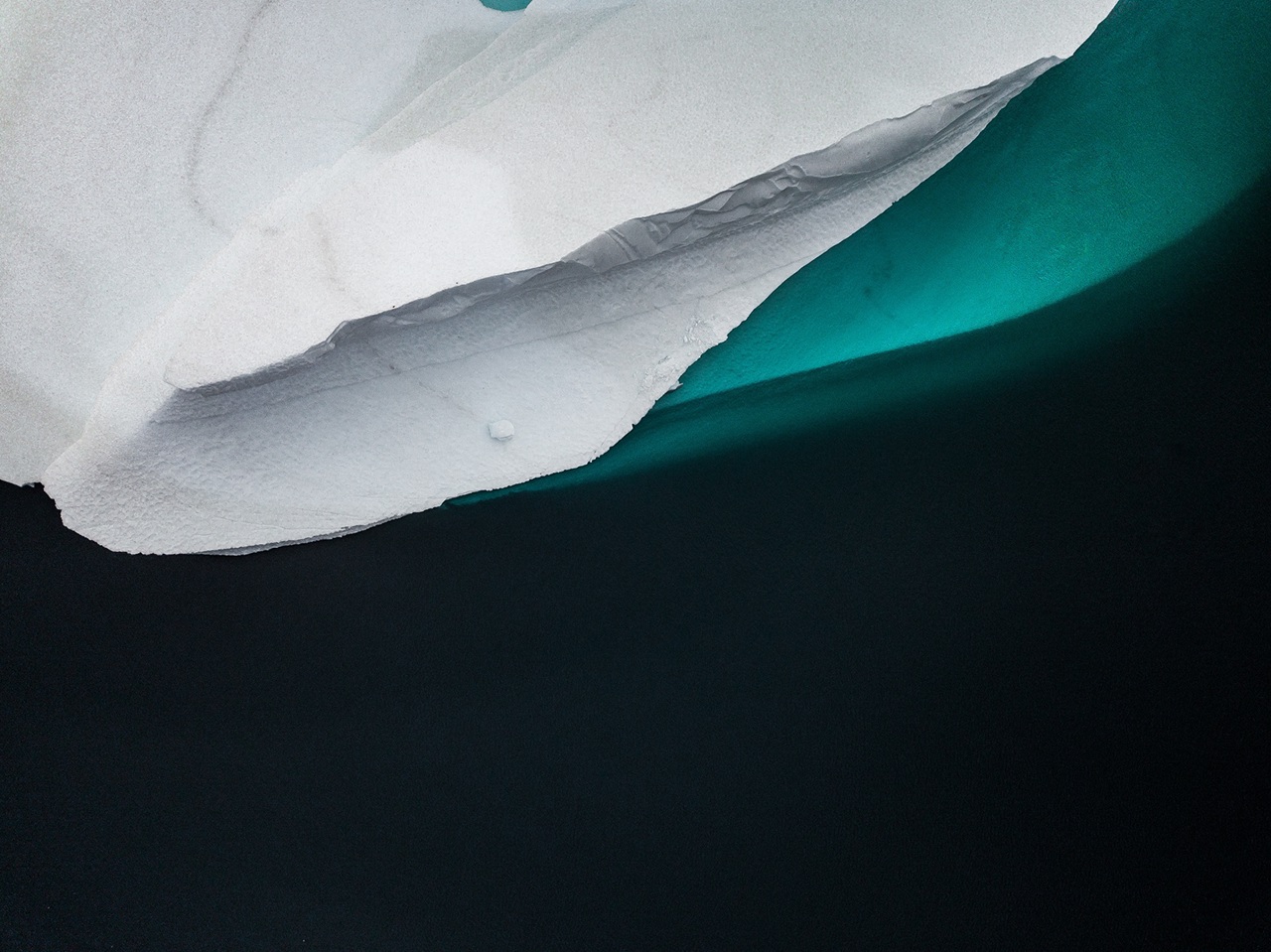 Arctic Icebergs