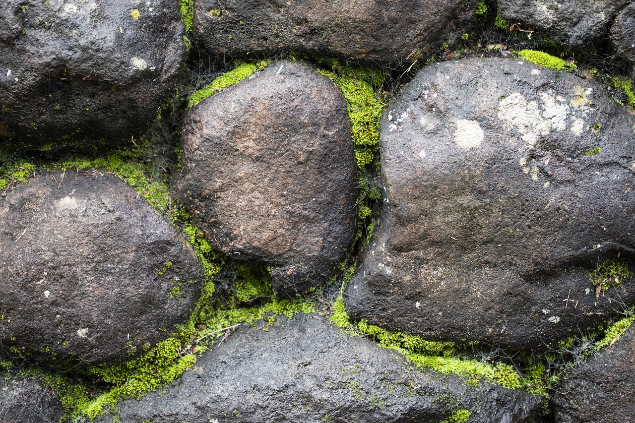 moss on an old stone wall