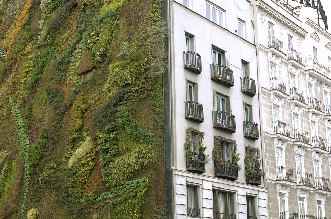 ecological urban construction. plants on the wall.