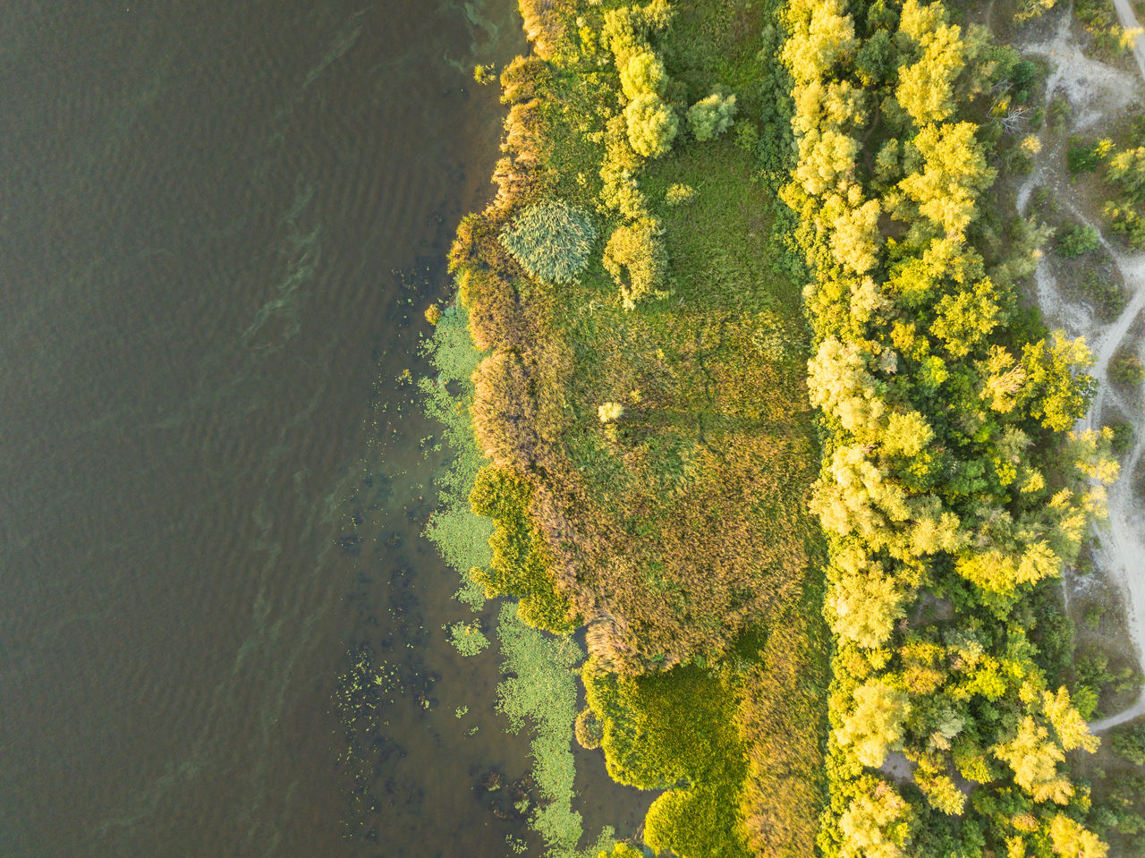 Aerial drone view. Bank of the Dnieper River in Kiev in the evening in the rays of the setting sun.