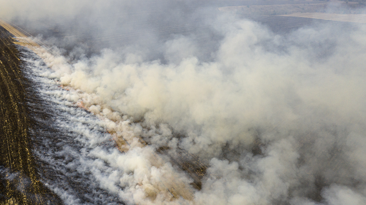 Organic waste burns in the fields. Farmers burn compost to reduce the cost of tillage. Harmful to the environment and soil, and emits carcinogenic and greenhouse gases into the atmosphere.