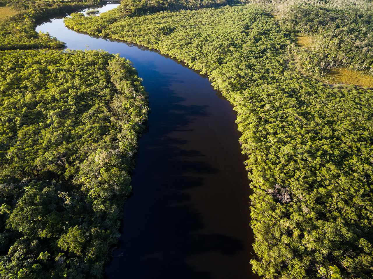 Aerial View of Amazon Rainforest, Brazil