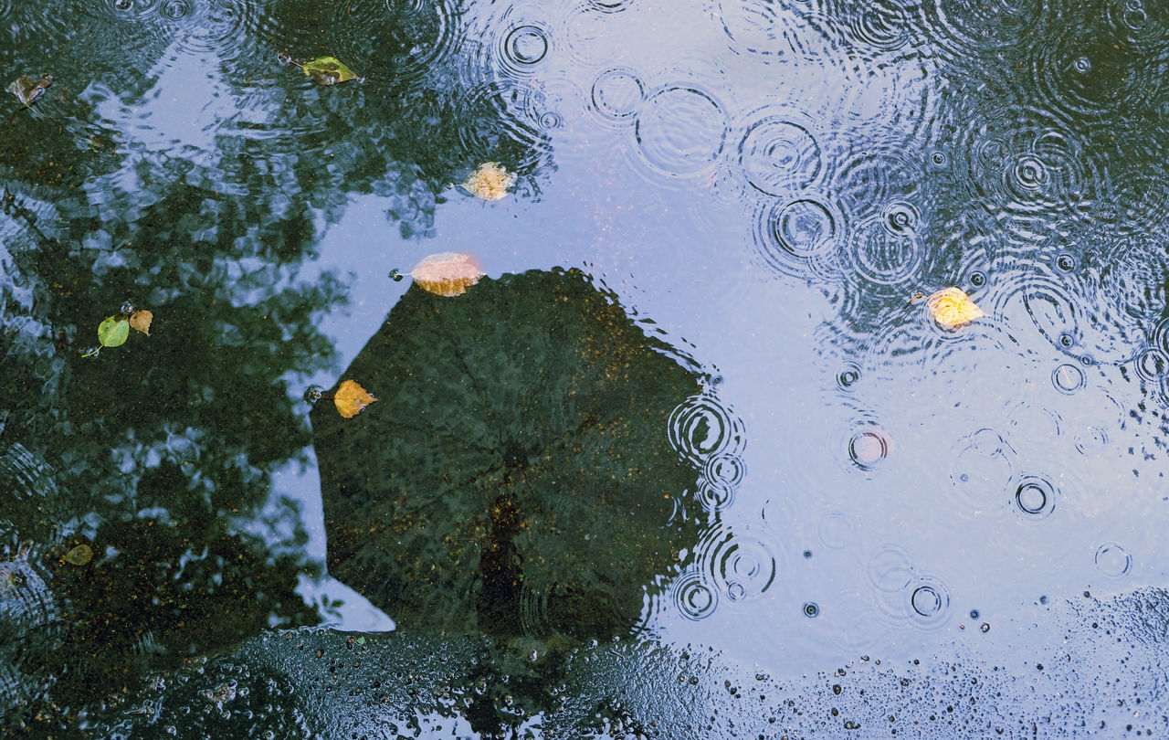 abstract rainy background. reflection umbrella in puddle background. autumn season, wet weather, rainy day, fall time concept. soft selective focus, abstract rainy background. reflection umbrella in puddle backgro