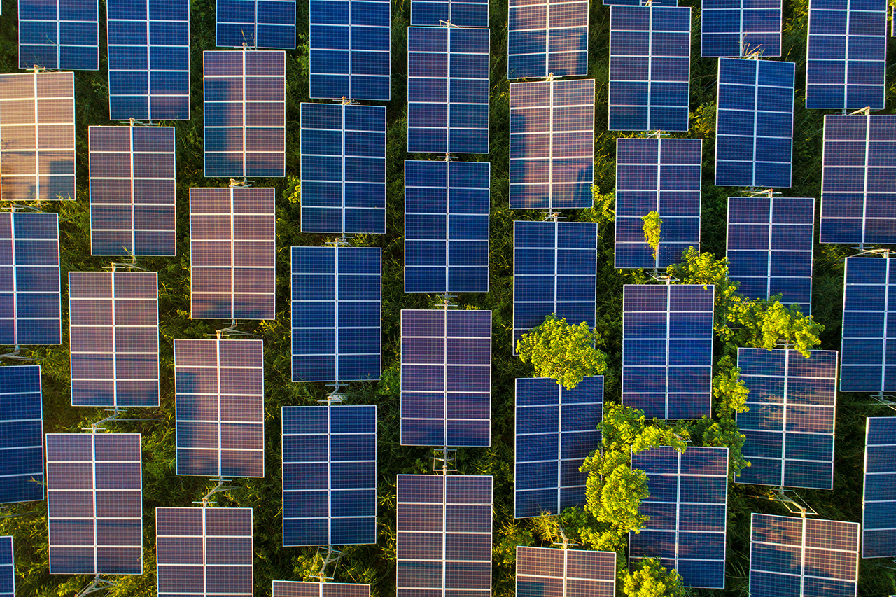 Top view of solar panels (solar cell) in solar farm with green tree and sun lighting reflect .Photovoltaic plant field.