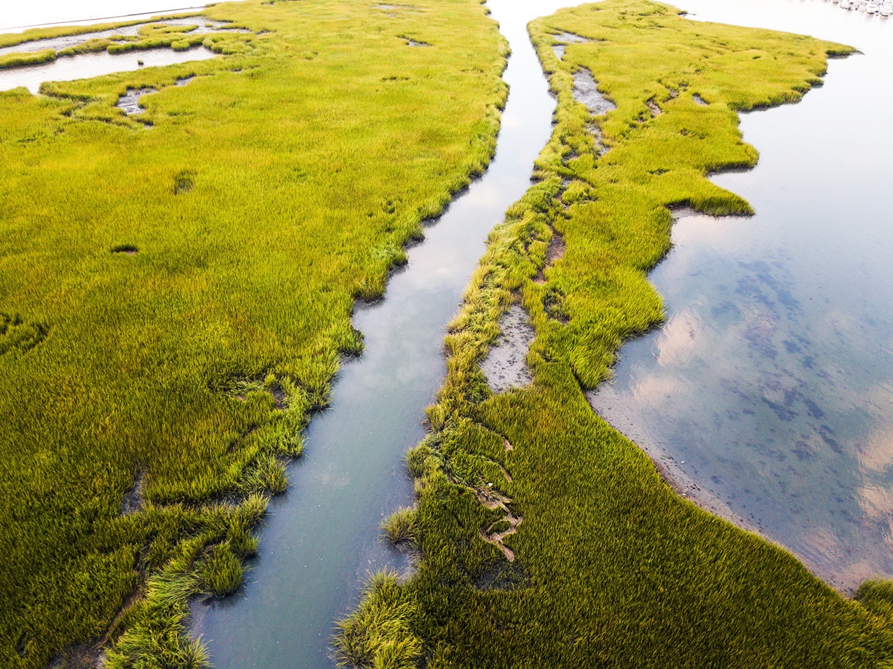 Aerial view of a swamp scenery at sunrise