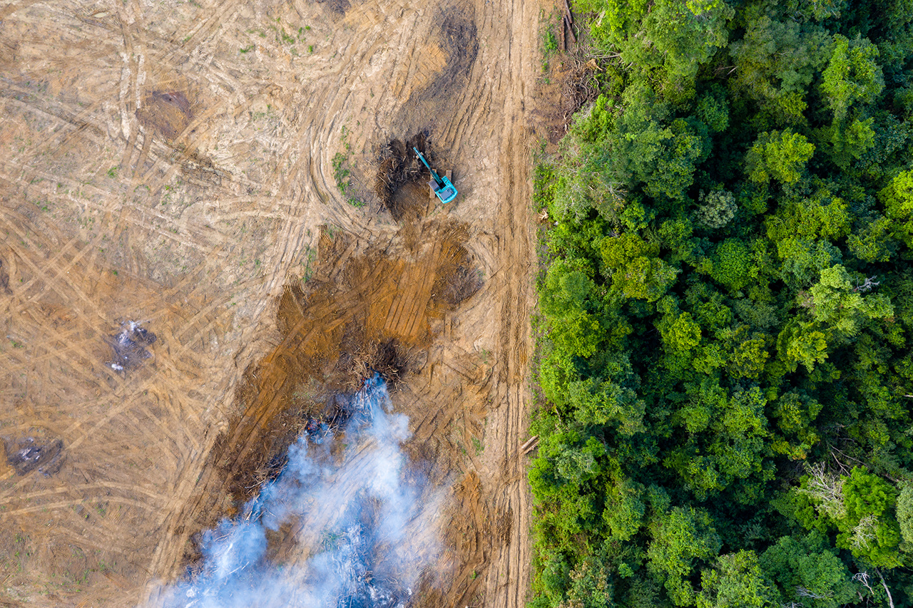 Aerial view of deforestation.  Rainforest being removed to make way for palm oil and rubber plantations