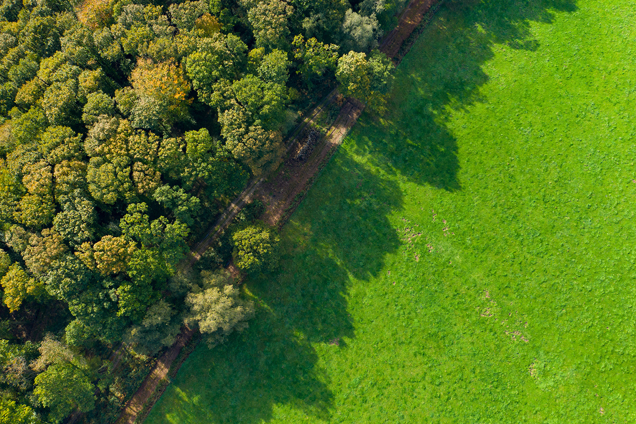 Cette photo a été prise en France, en Normandie en drone. Cette photo montre un chemin traversant des arbres au milieu d'un forêt ou d'un bois et un champ avec des couleurs typiques du début de l'automne.