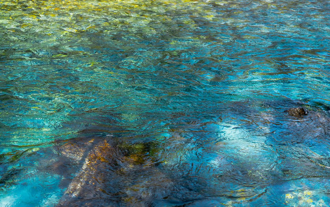 The natural background of the clear emerald green water flows in Kamikochi, Japan. The shallow level makes it possible to see the black and white rocks below. Feeling fresh, relaxed, and cool.