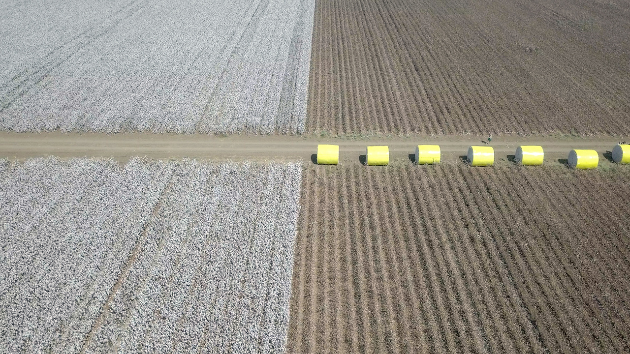 Aerial image of a vast Cotton field showing both pre and post harvest, with cotton bales wrapped in yellow plastic wraps.