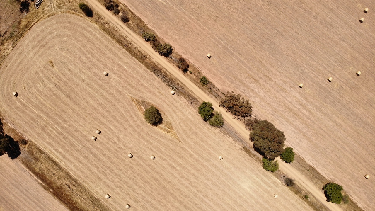 Hay Bales Scattered in Paddocks Near Devenish