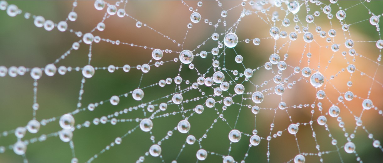Synthetic-biology-route-to-more-sustainable-materials-img01.jpg