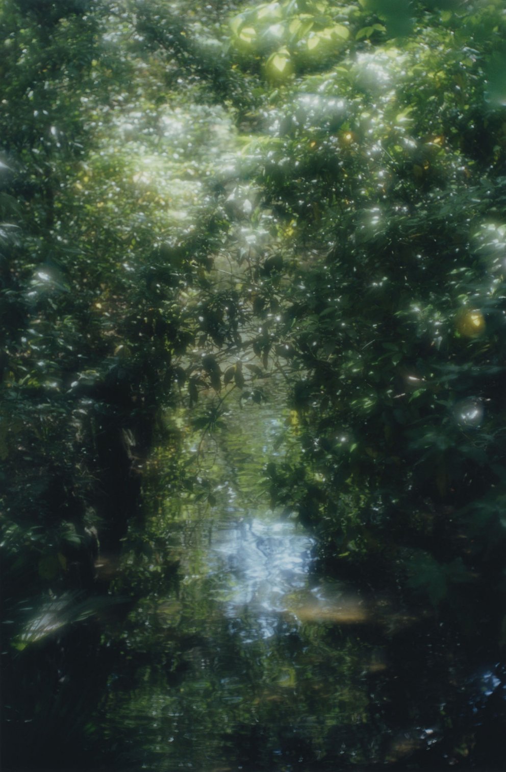 Prix Pictet Japan Award